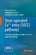 Store-operated Ca2+ entry (SOCE) pathways