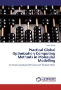 Practical Global Optimization Computing Methods in Molecular Modelling