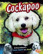 Cockapoo: A Cross Between a Cocker Spaniel and a Poodle