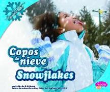 Copos de Nieve/Snowflakes