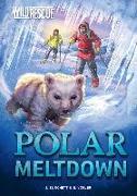 Polar Meltdown