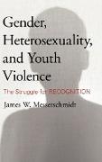 Gender, Heterosexuality, and Youth Violence