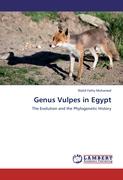 Genus Vulpes in Egypt