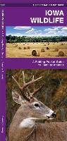 Iowa Wildlife: A Folding Pocket Guide to Familiar Species