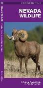 Nevada Wildlife: A Folding Pocket Guide to Familiar Animals