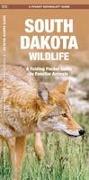 South Dakota Wildlife: A Folding Pocket Guide to Familiar Animals