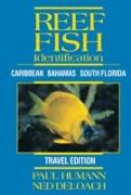 Reef Fish Identification (Travel Edition)