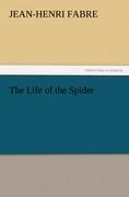 The Life of the Spider