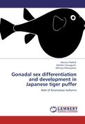Gonadal sex differentiation and development in Japanese tiger puffer