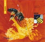 Das kreative Sachbuch "Biene"