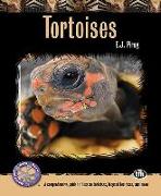 Tortoises: A Comprehensive Guide to Russian Tortoises, Leopard Tortoises, and More