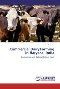Commercial Dairy Farming In Haryana, India