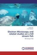 Electron Microscopy and related studies on a hill stream fish