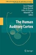 The Human Auditory Cortex