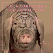 Extraordinary Pigs & Piglets Calendar