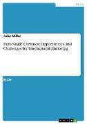 Euro Single Currency: Opportunities and Challenges for International Marketing