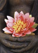 Buddha-Karte: Lotus