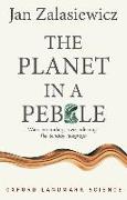 The Planet in a Pebble