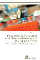 Expression, Aufreinigung und Charakterisierung von rhCTGF und rrNOV