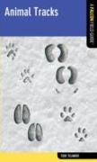 Animal Tracks