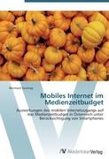 Mobiles Internet im Medienzeitbudget