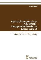 Beobachtungen einer Przewalski-Junggesellenherde im Jahresverlauf