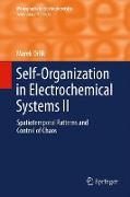 Self-Organization in Electrochemical Systems II