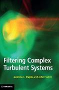 Filtering Complex Turbulent Systems