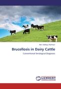 Brucellosis in Dairy Cattle