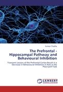 The Prefrontal - Hippocampal Pathway and Behavioural Inhibition