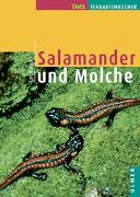 Salamander und Molche