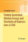 Finitely Generated Abelian Groups and Similarity of Matrices over a Field