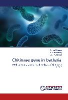 Chitinase gene in bacteria