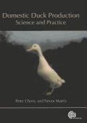 Domestic Duck Production: Science and Practice