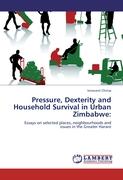 Pressure, Dexterity and Household Survival in Urban Zimbabwe