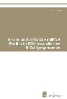 Virale und zelluläre miRNA Profile in EBV-assoziierten B-Zelllymphomen