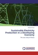 Sustainable Electricity Production in a Developing Economy