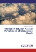 Interaction Between Aerosol Particles and Stratocumulus Clouds