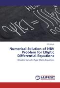 Numerical Solution of NBV Problem for Elliptic Differential Equations