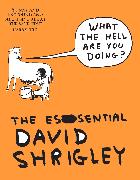 What The Hell Are You Doing?: The Essential David Shrigley