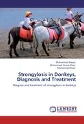 Strongylosis in Donkeys, Diagnosis and Treatment