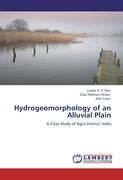 Hydrogeomorphology of an Alluvial Plain