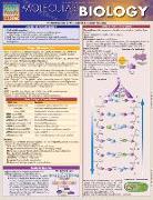 Molecular Biology