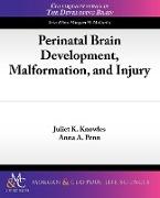 Perinatal Brain Development, Malformation, and Injury