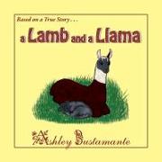 A Lamb and a Llama