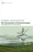 The Pleasantries of Krishnamurphy: Revelations from an Irish Ashram