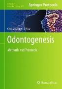 Odontogenesis