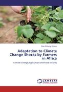 Adaptation to Climate Change Shocks by Farmers in Africa