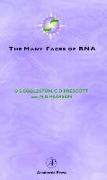 The Many Faces of RNA