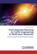 From Network Planning to Traffic Engineering in Multi-layer Networks